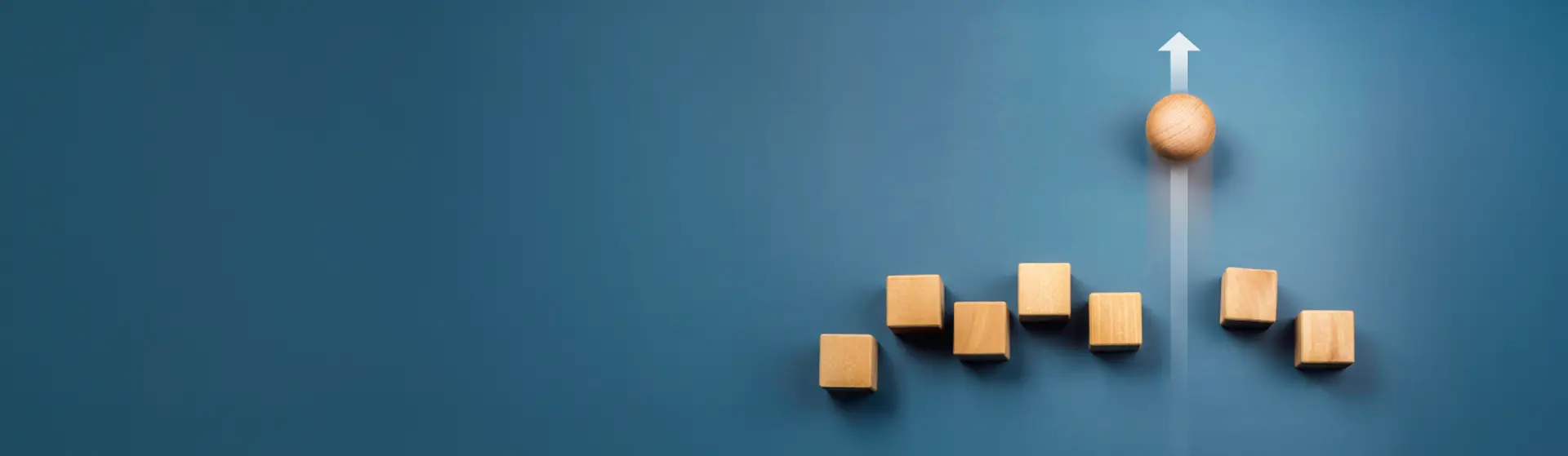 Business Growth Solutions