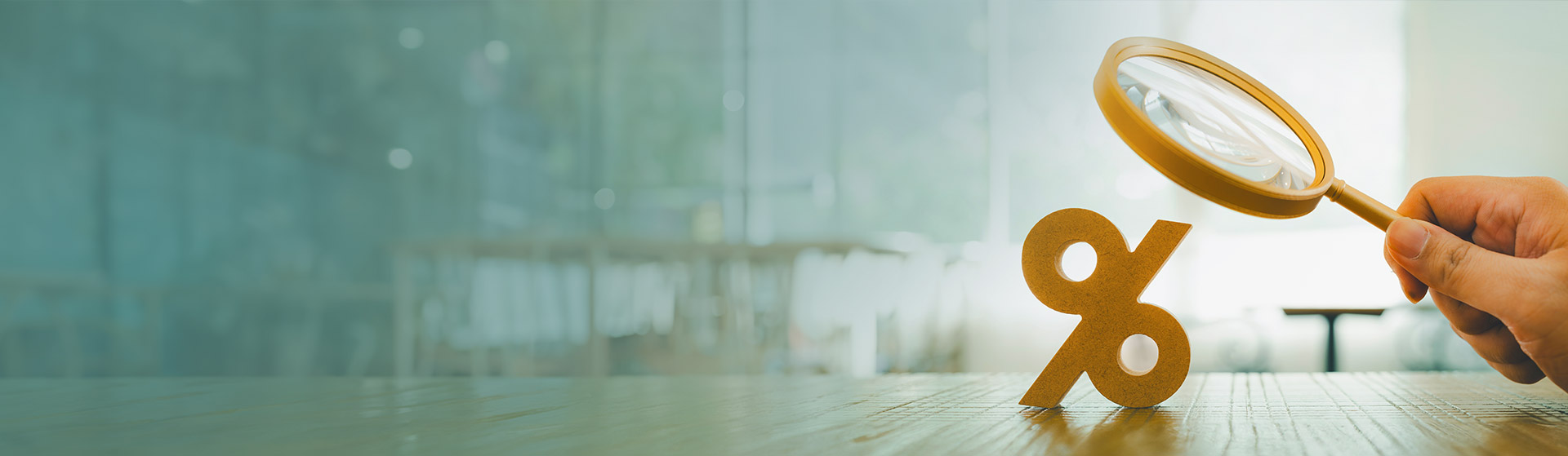 Due Diligence Services