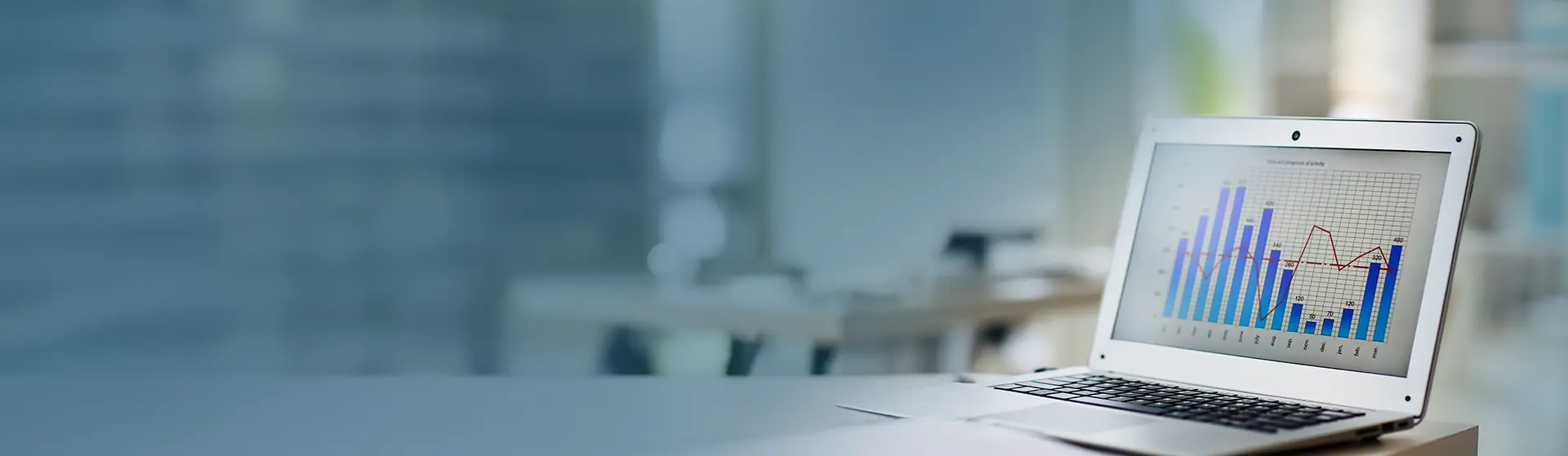 ERP Advisory, Localization, and Integration
