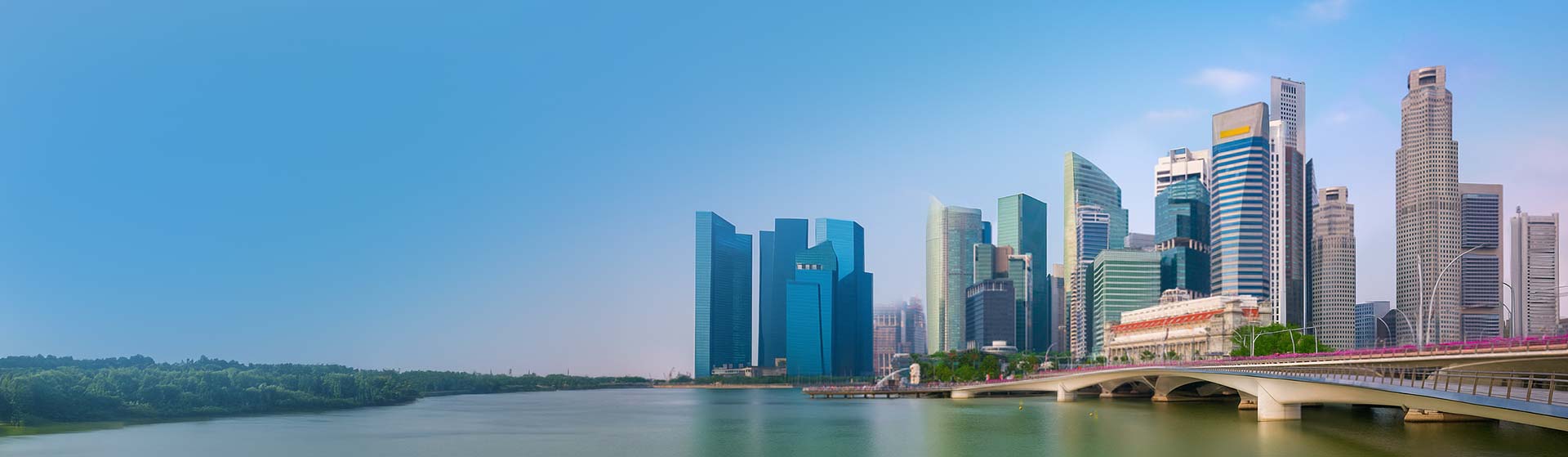 Market Research and Market Study