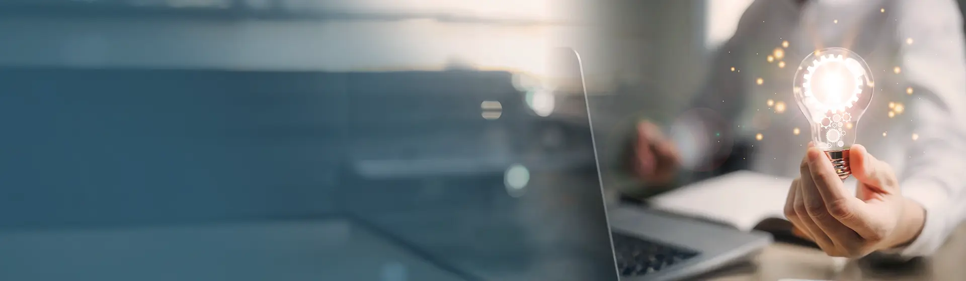 Virtual CIO & Interim IT Operational Management Services