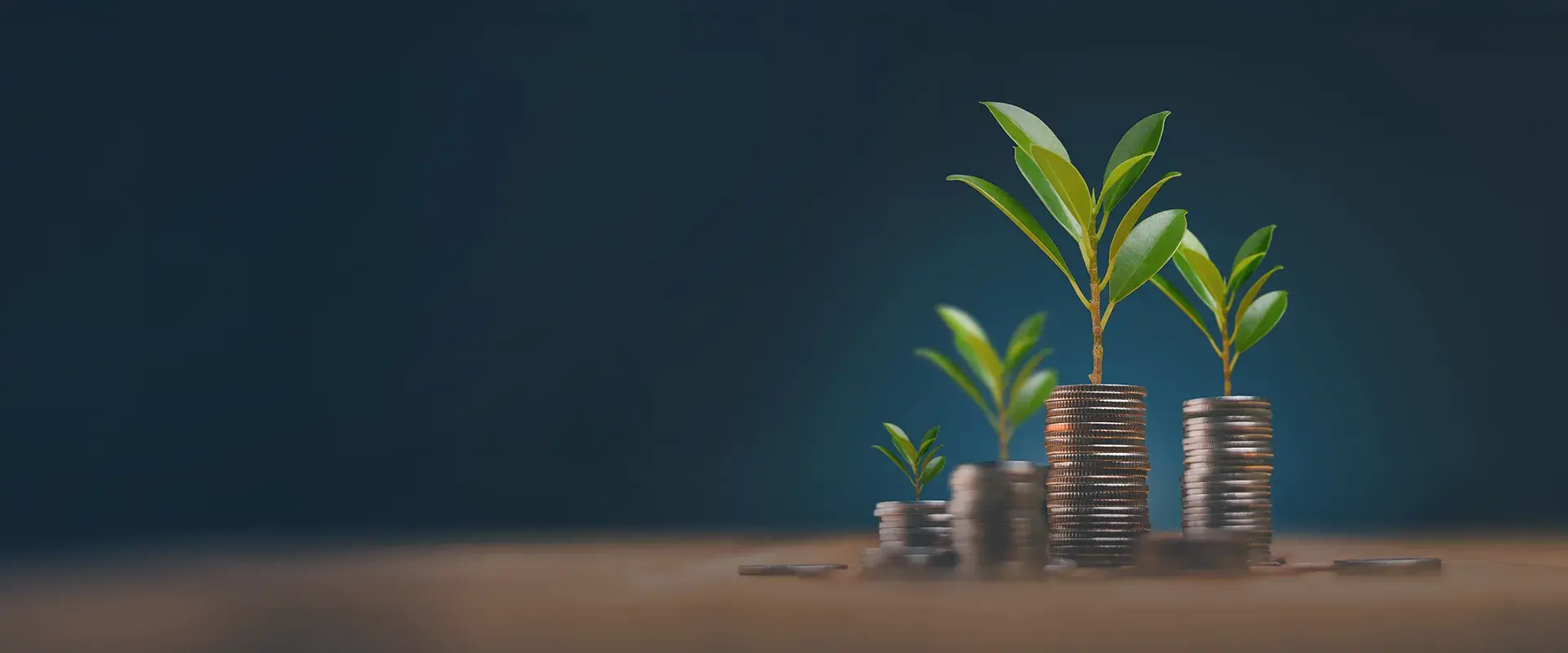 Support Economic Development with Asia Trade and Investment Programs
