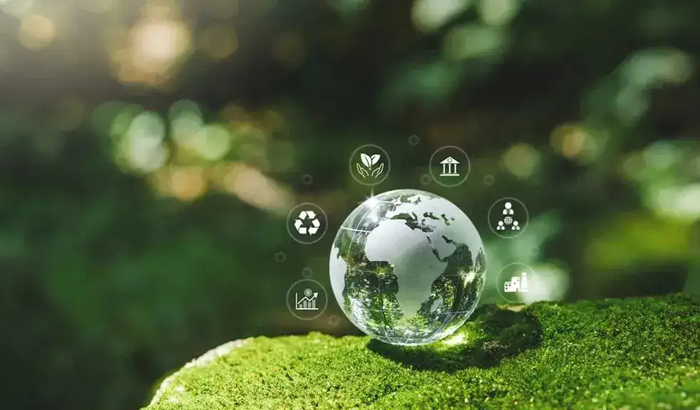 Sustainability and ESG Reporting